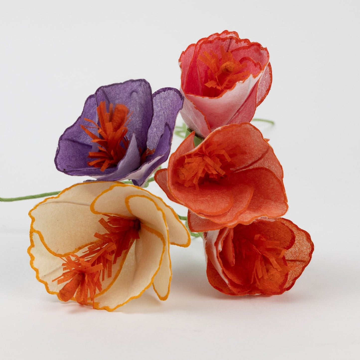 Flower hibiscus M/5 ppr/wr prpl/yel/peach/pnk/orng