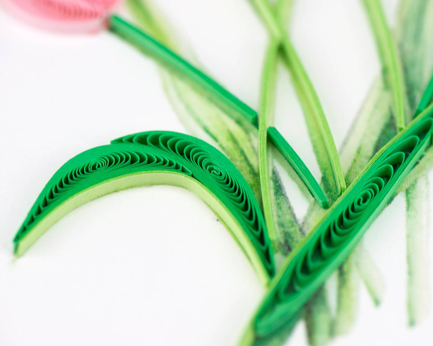 Quilled Greeting Card, "Colorful Tulips"