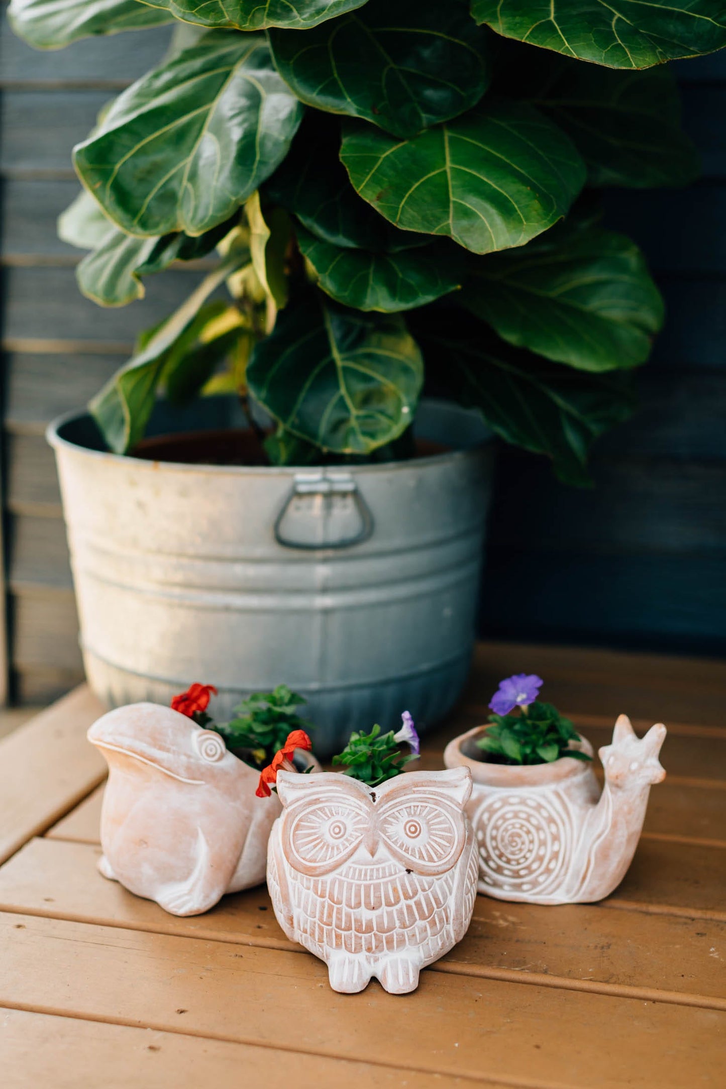 Planter owl terra cotta 7Lx5Wx6H white wash