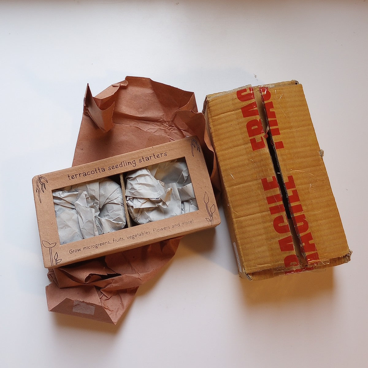 Seed sprouter/floral arranger s/2 t-cotta 4D nat