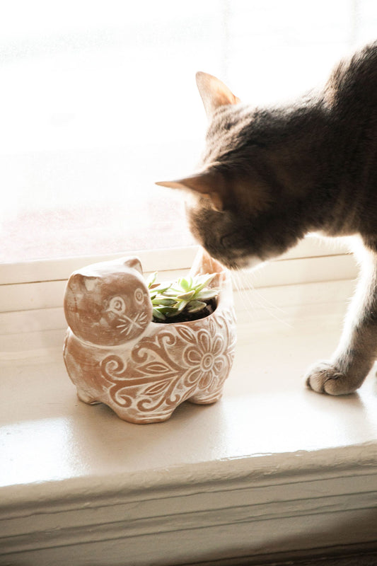 Planter cat whitewashed t-cotta 5Dx4.5H