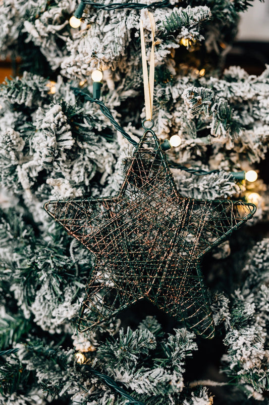 Ornament L3D wire star iron 9D grn/copper