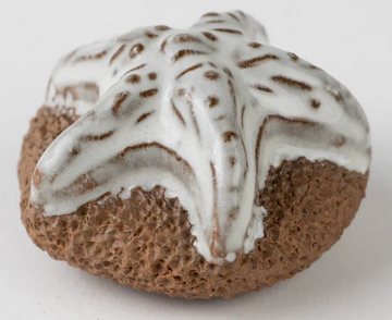 Pedicure Friend Starfish