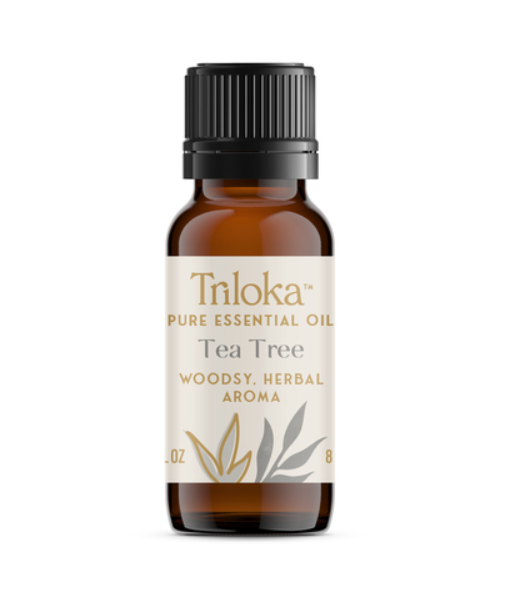 Essential Oil, Tea Tree