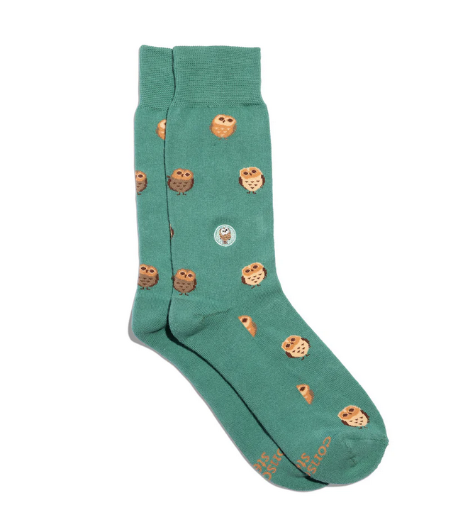 Socks That Protect Owls, Medium