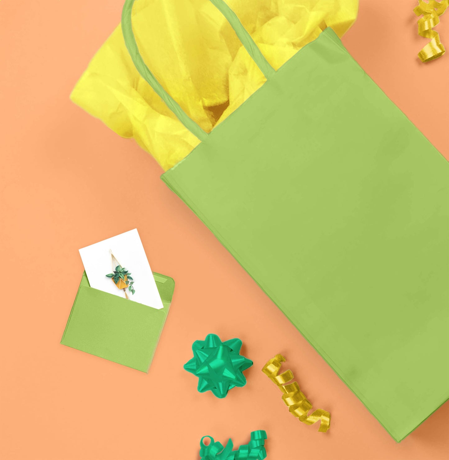 Quilled Gift Enclosure, "Pothos Macrame Hanger"