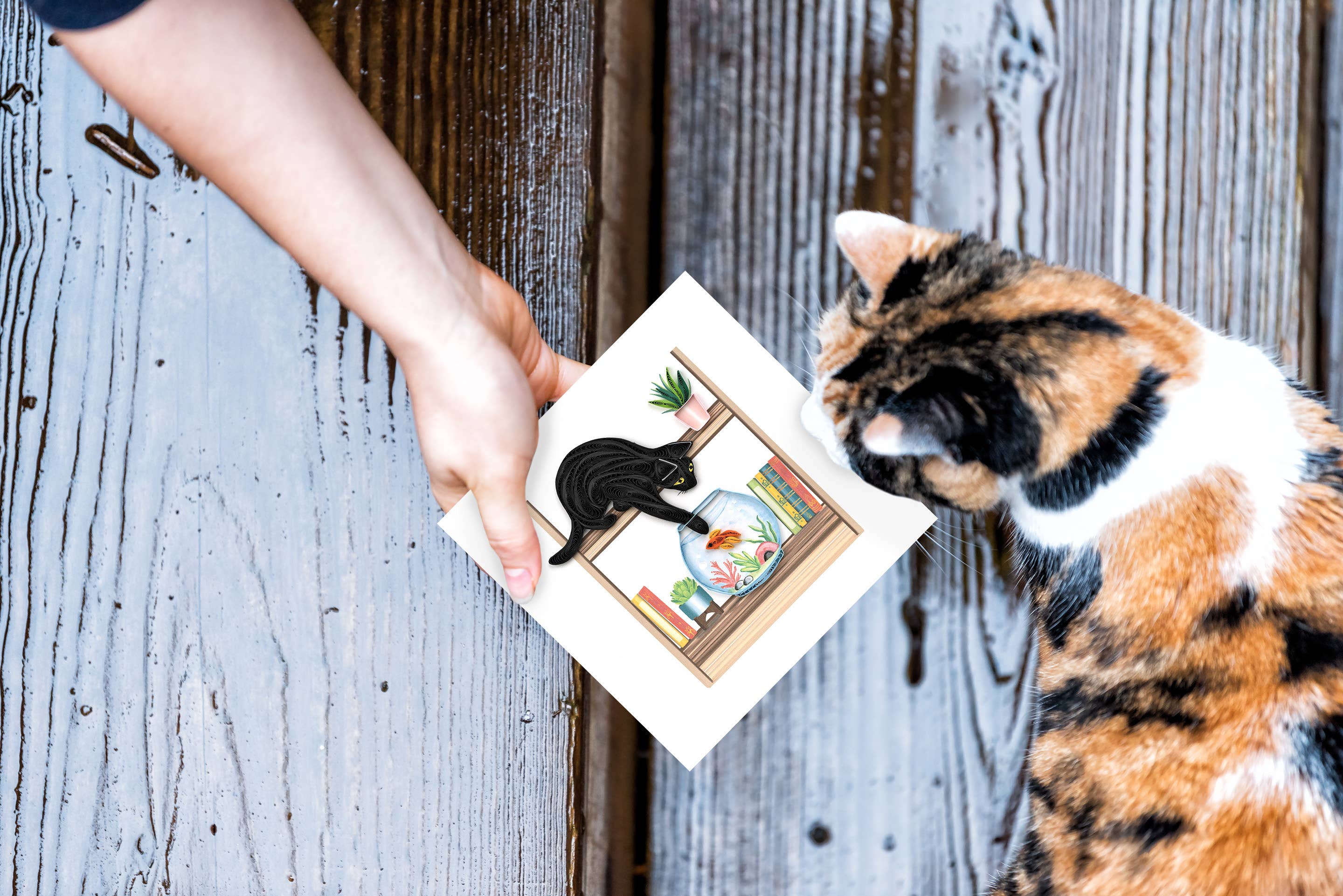 Quilled Greeting Card, "Mischievous Cat"