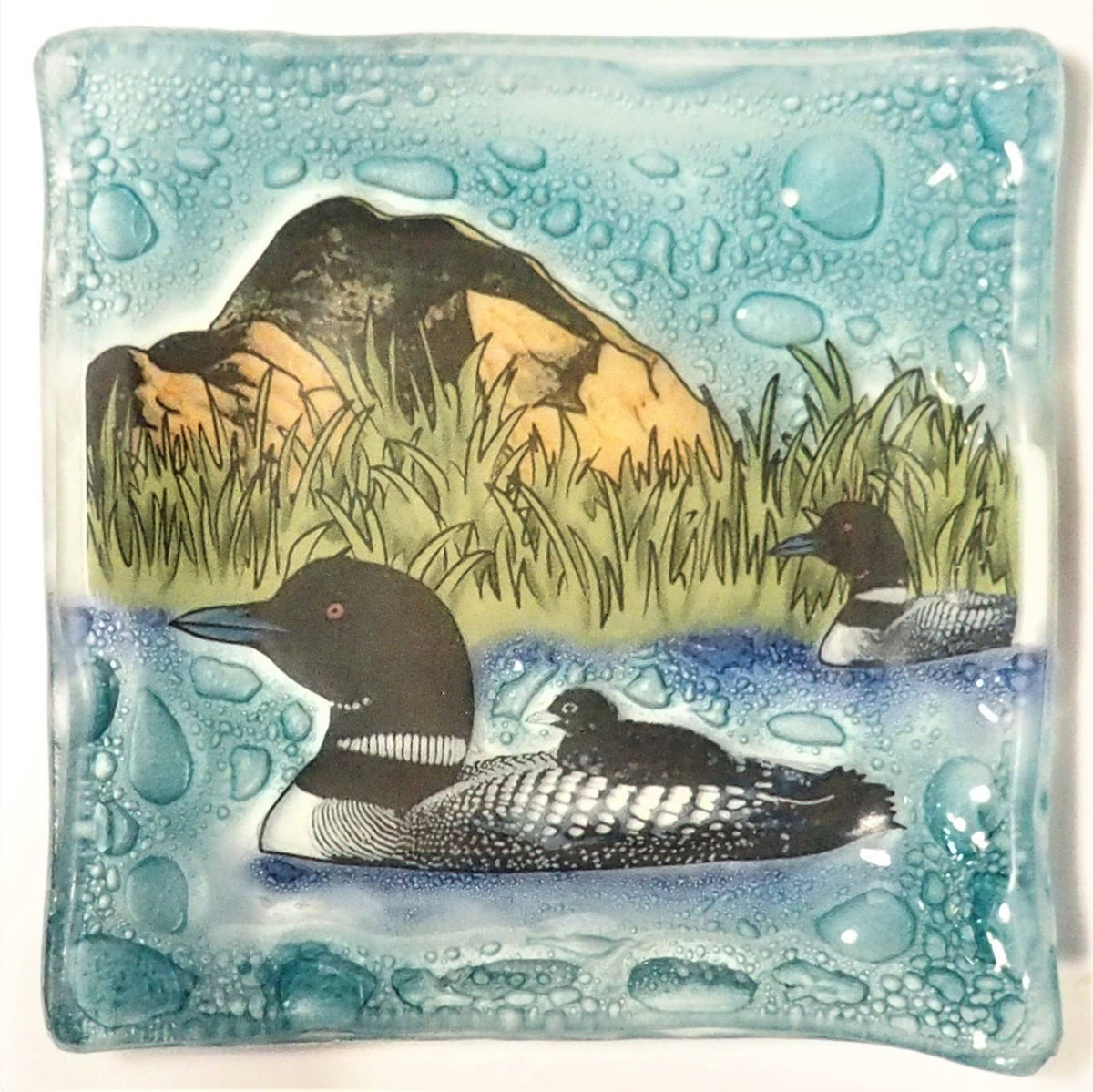 Versatile Loon Decorative Square Plate / Dish