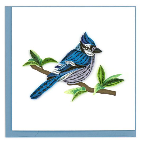 Quilled Greeting Card, "Blue Jay"