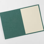 Card single flwr M/3 hogla leaves/ppr 4x6 teal/yel