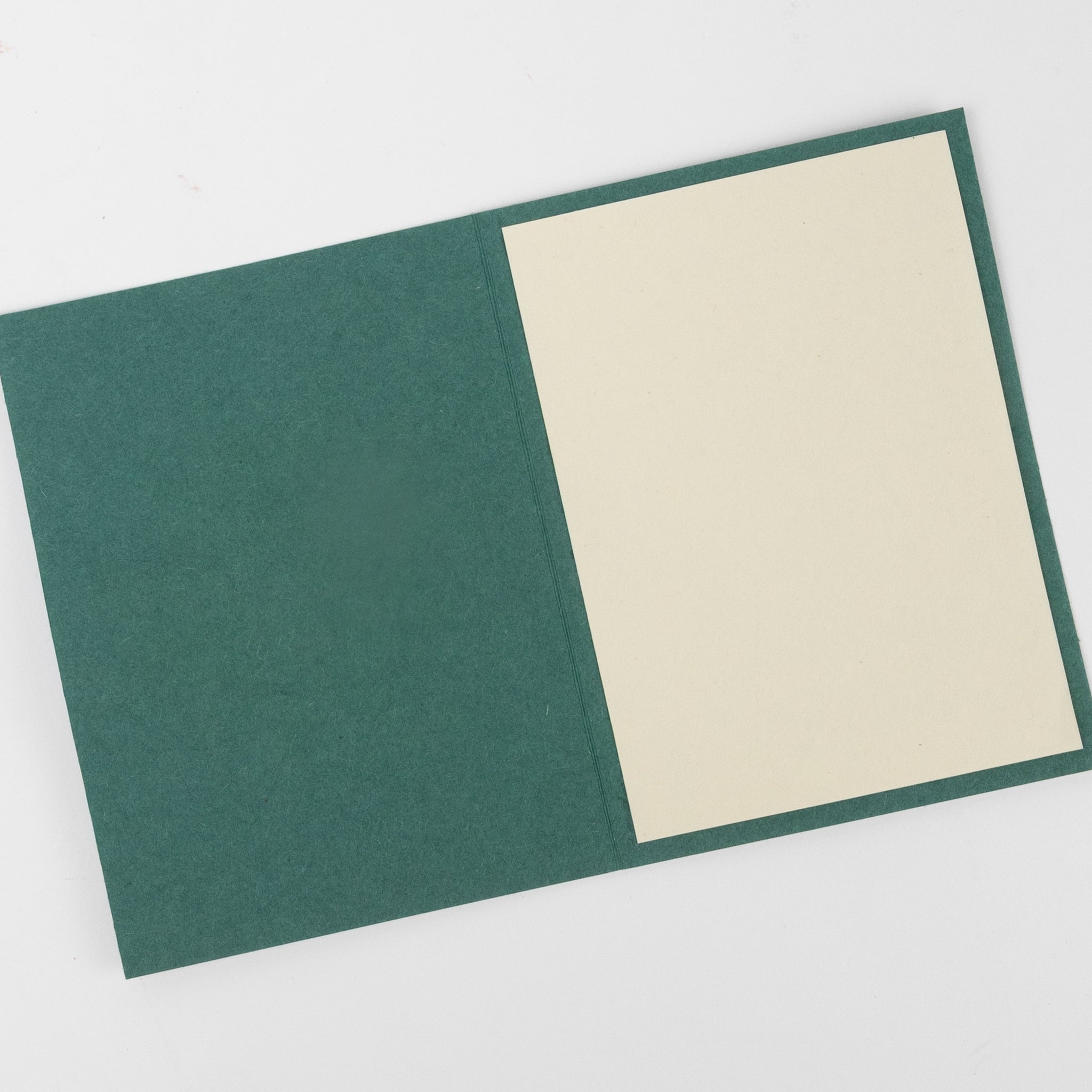 Card single flwr M/3 hogla leaves/ppr 4x6 teal/yel