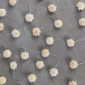 Garland 3D flowers shola wood 14ftL cream