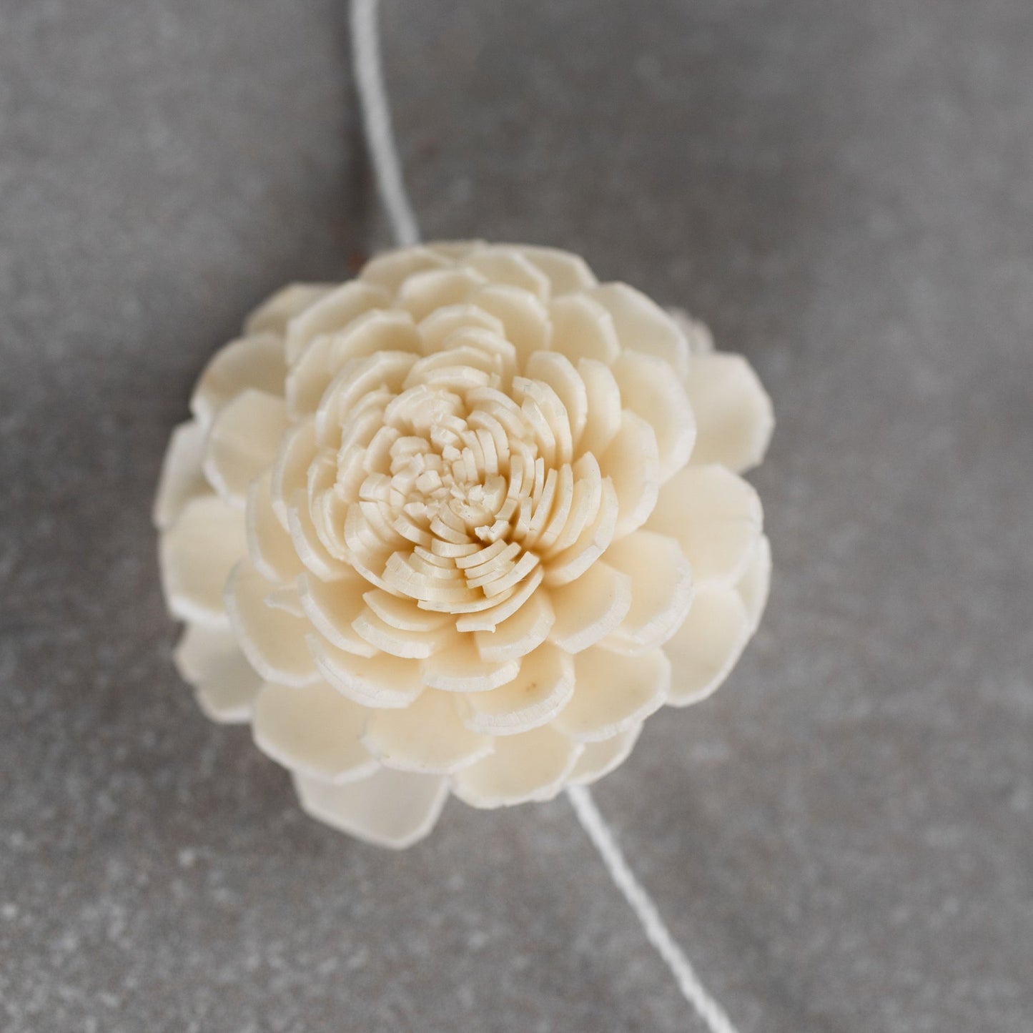 Garland 3D flowers shola wood 14ftL cream