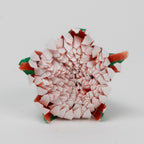 Flower hydrangea M/2 ppr/wr 11.75L yel/rd/wht/grn