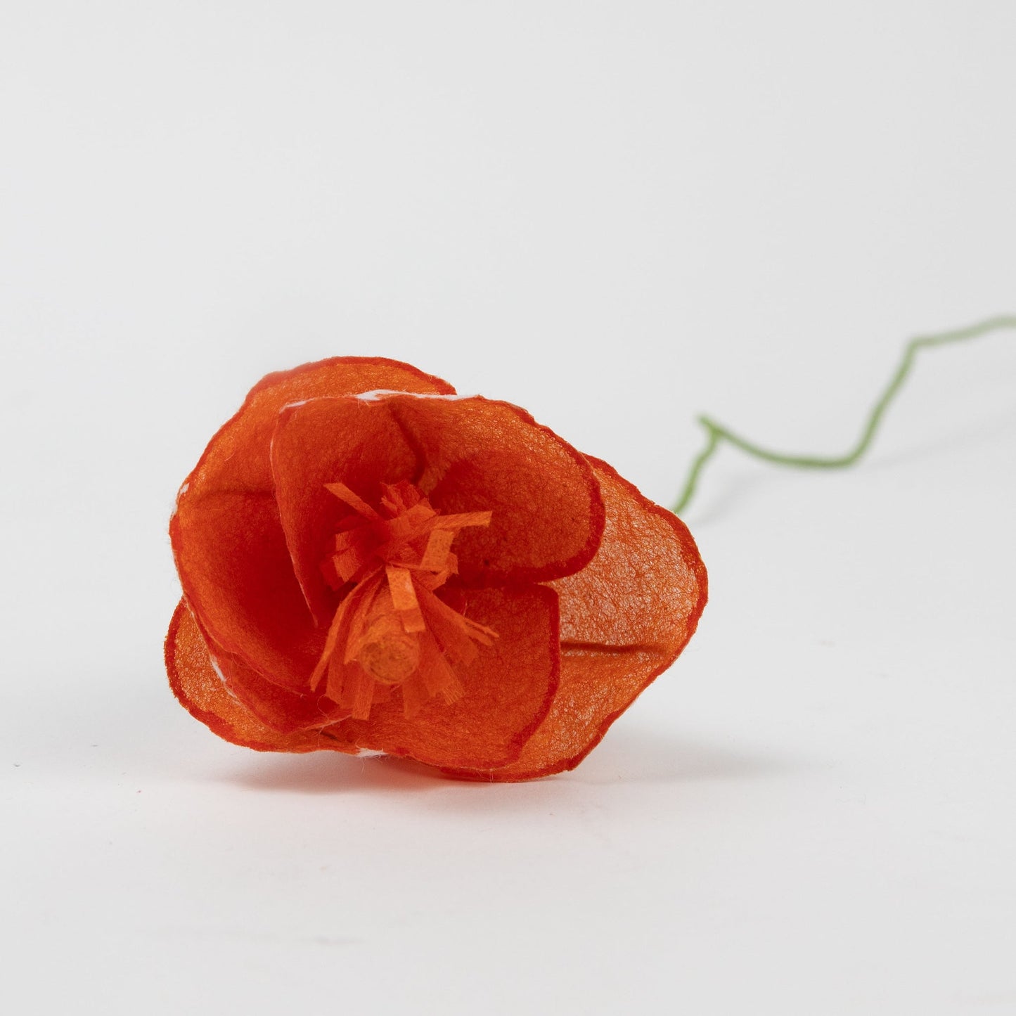 Flower hibiscus M/5 ppr/wr prpl/yel/peach/pnk/orng