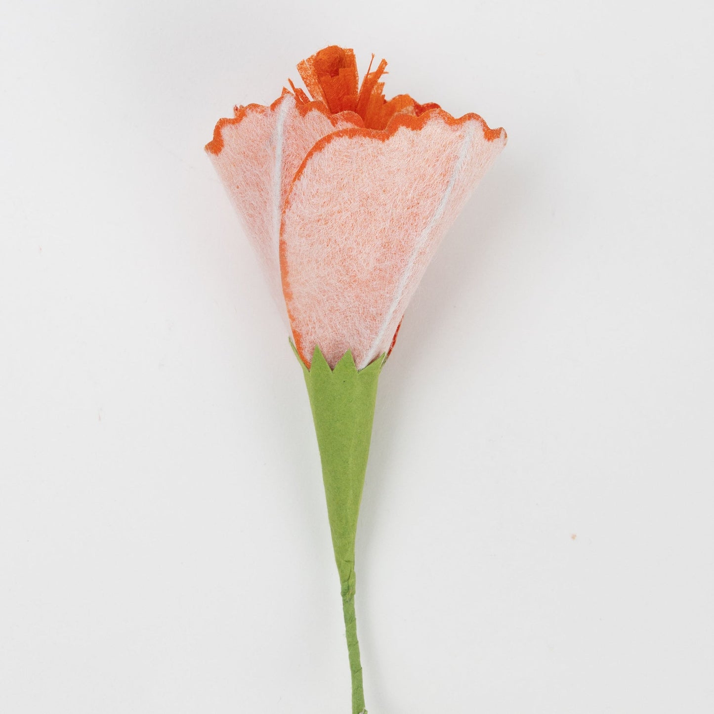 Flower hibiscus M/5 ppr/wr prpl/yel/peach/pnk/orng