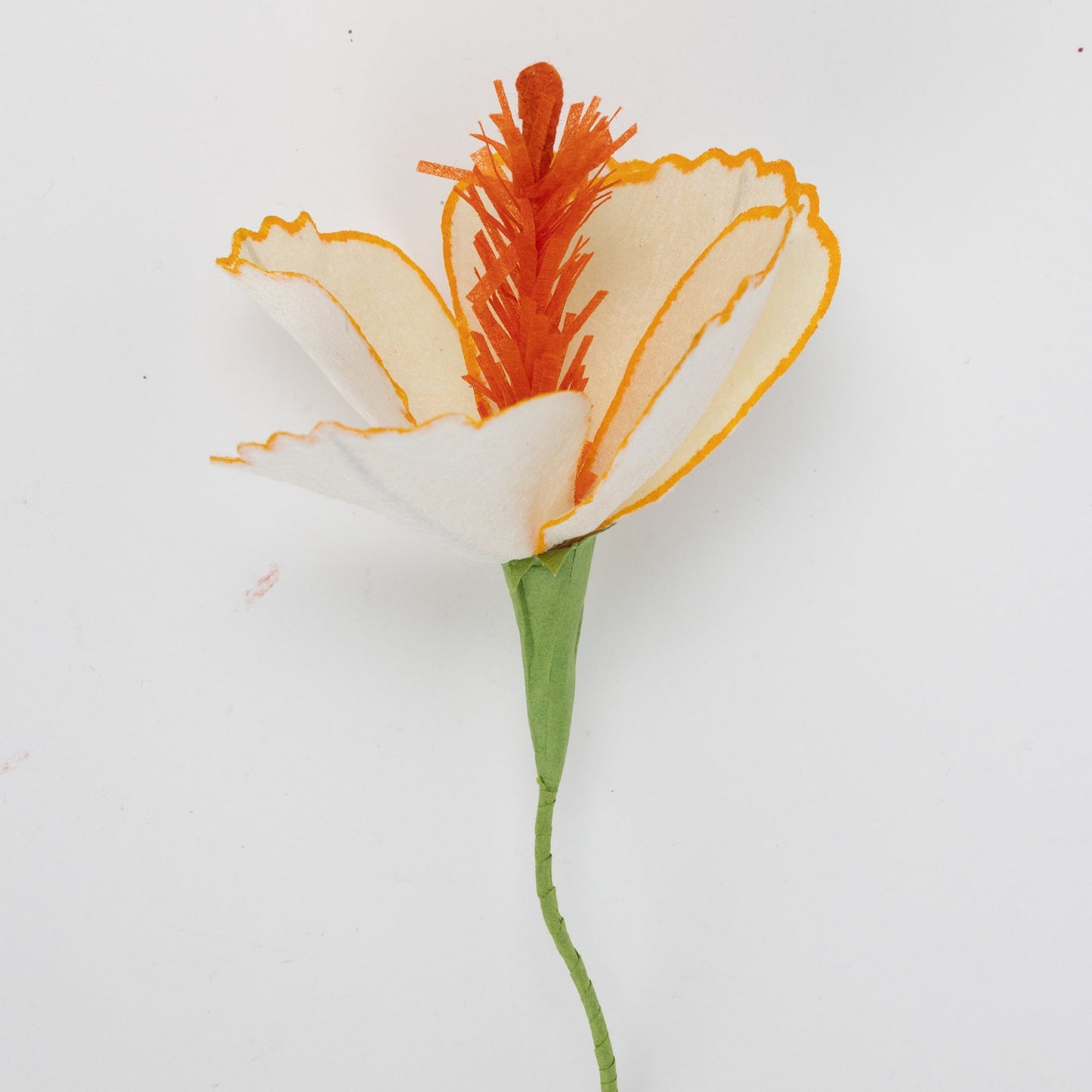 Flower hibiscus M/5 ppr/wr prpl/yel/peach/pnk/orng