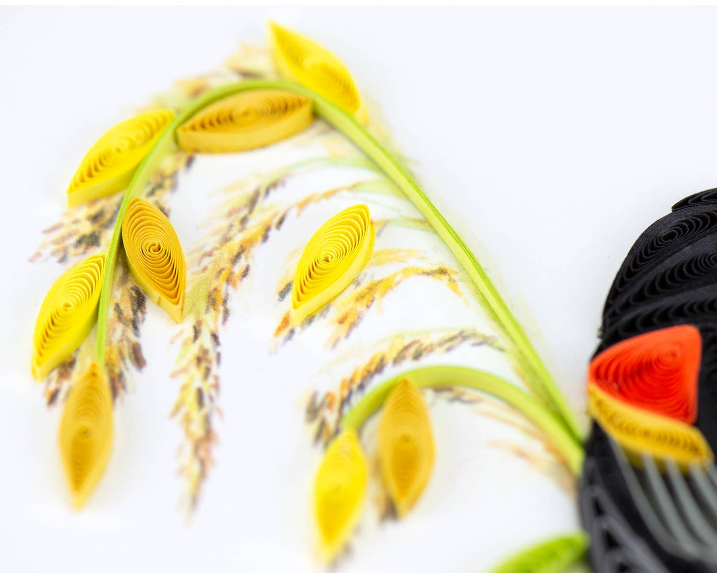 Quilled Greeting Card, "Red-winged Blackbird"