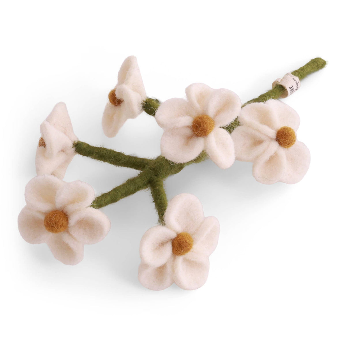 Forget-Me-Not - White