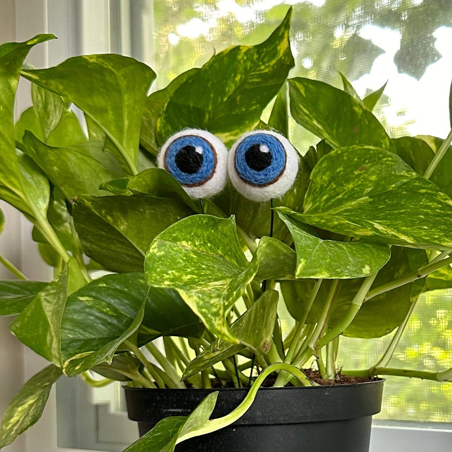 Felted Plant Eyeballs