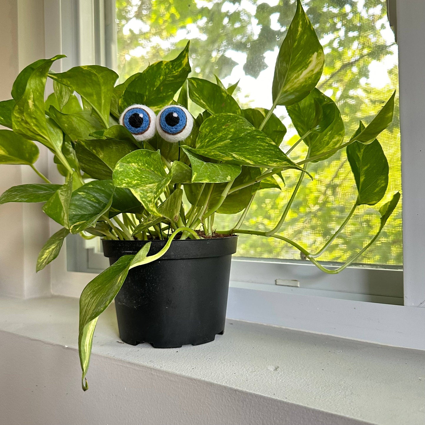 Felted Plant Eyeballs