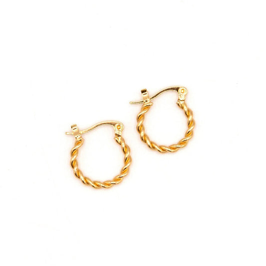 Earrings, Small Twist Hoop