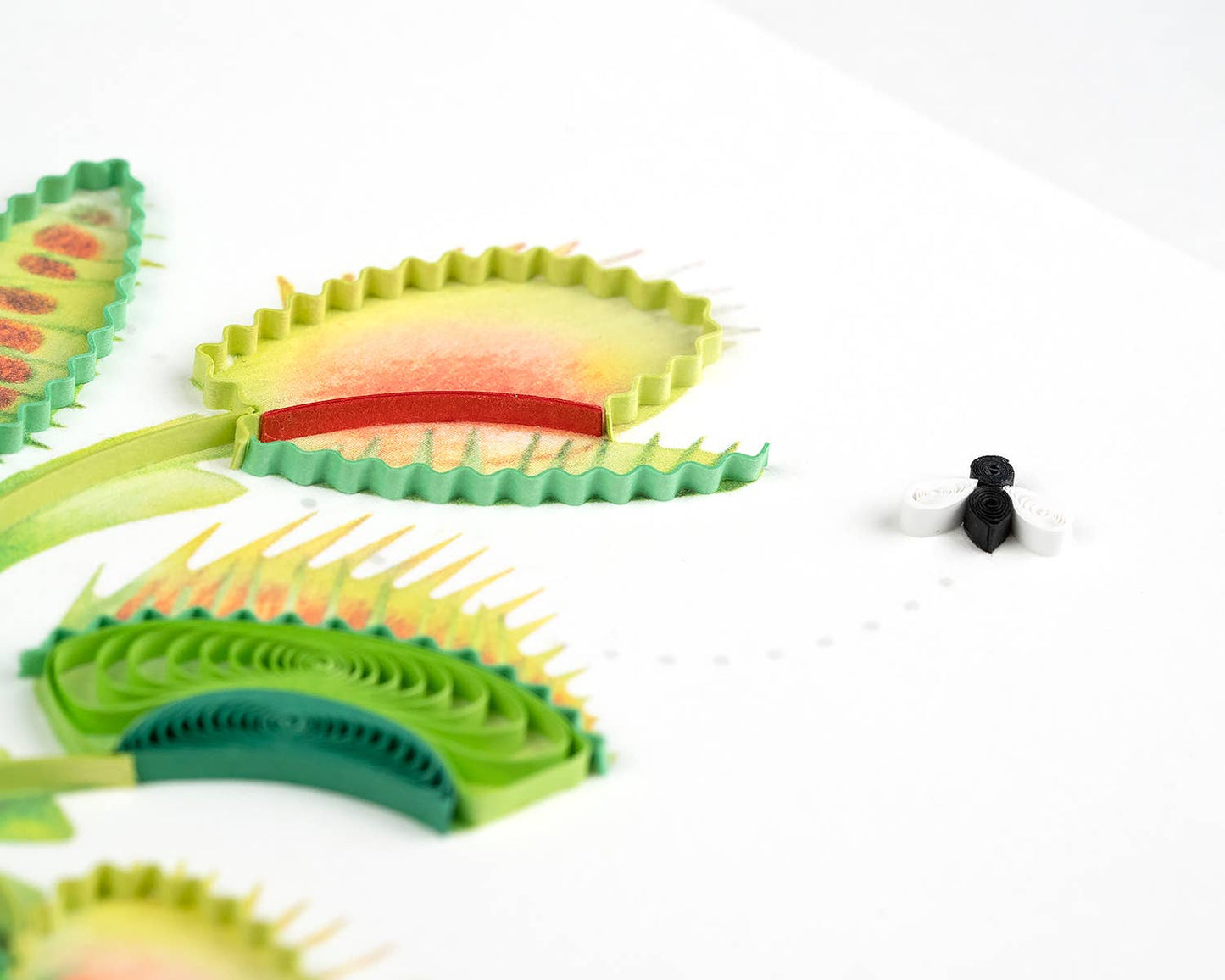 Quilled Greeting Card, "Venus Flytrap"