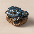 Pedicure Friend, Turtle