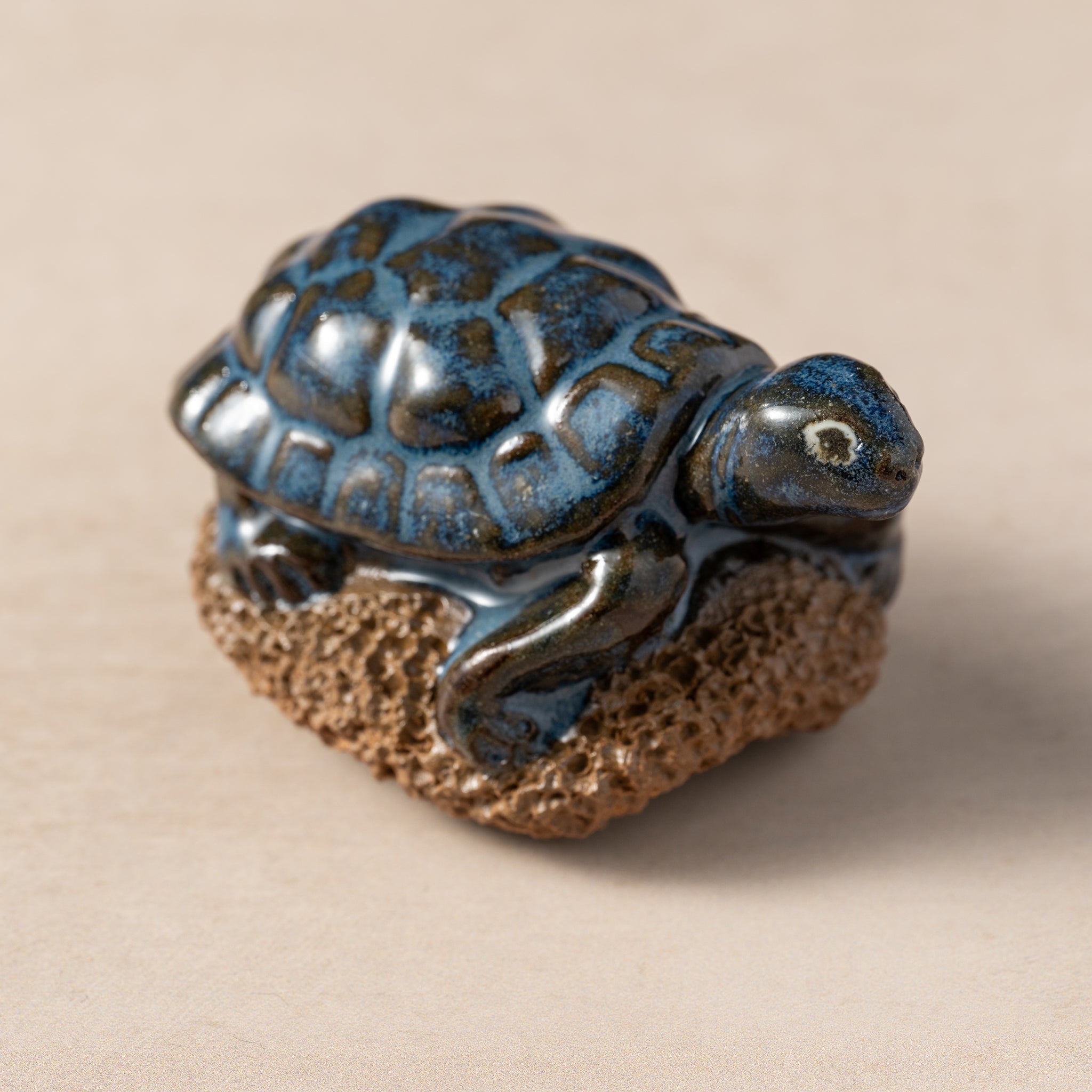 Pedicure Friend, Turtle