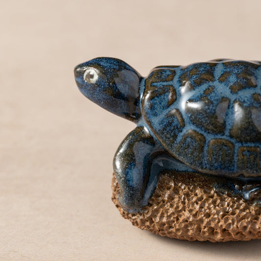 Pedicure Friend, Turtle