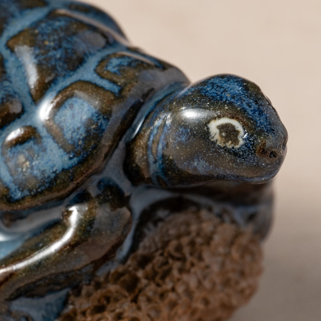 Pedicure Friend, Turtle