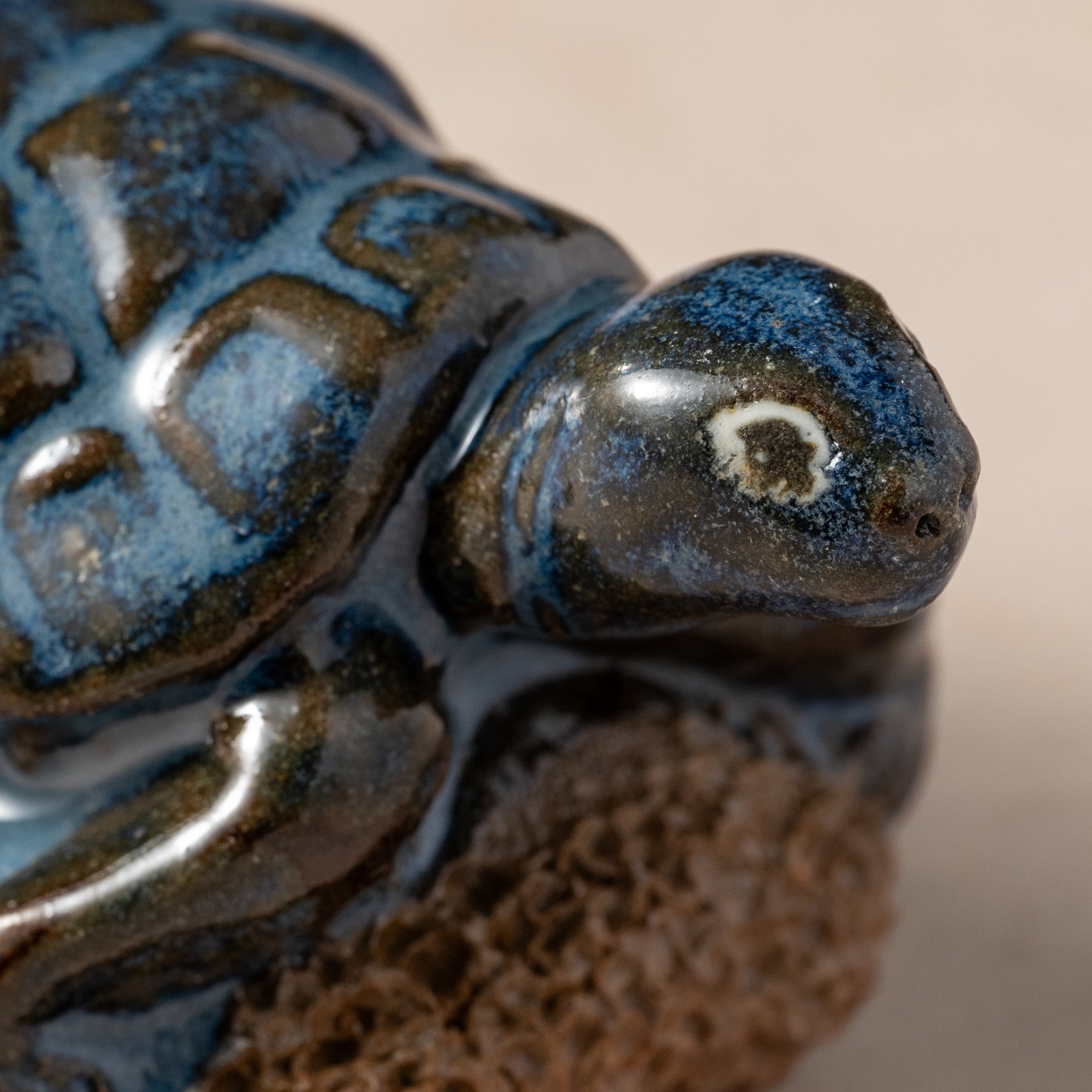 Pedicure Friend, Turtle