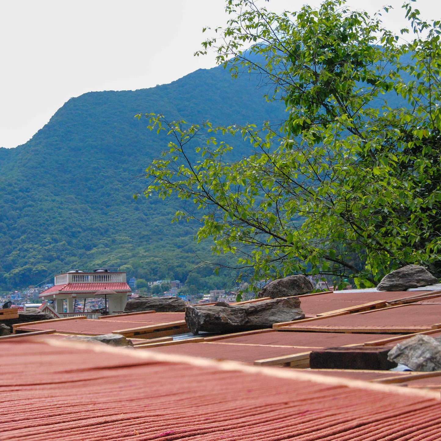 Incense s/19 Day Time incense/cttn 6L yellow