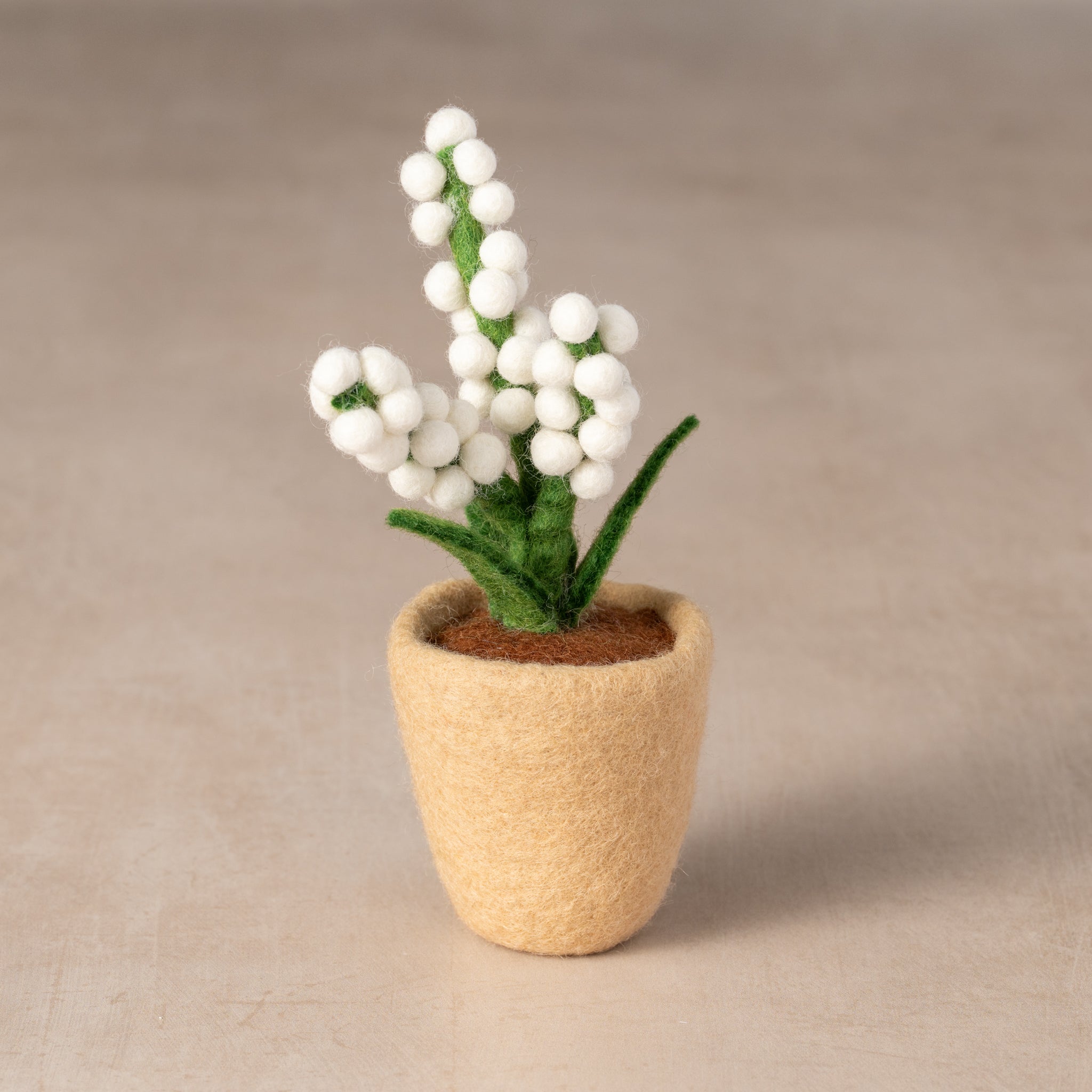 Baby breath/pot M/2 felt wool 3Dx6H white/brown