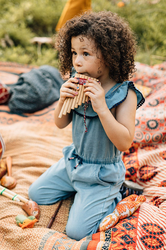 Panflute curved 10 pipes 6x4