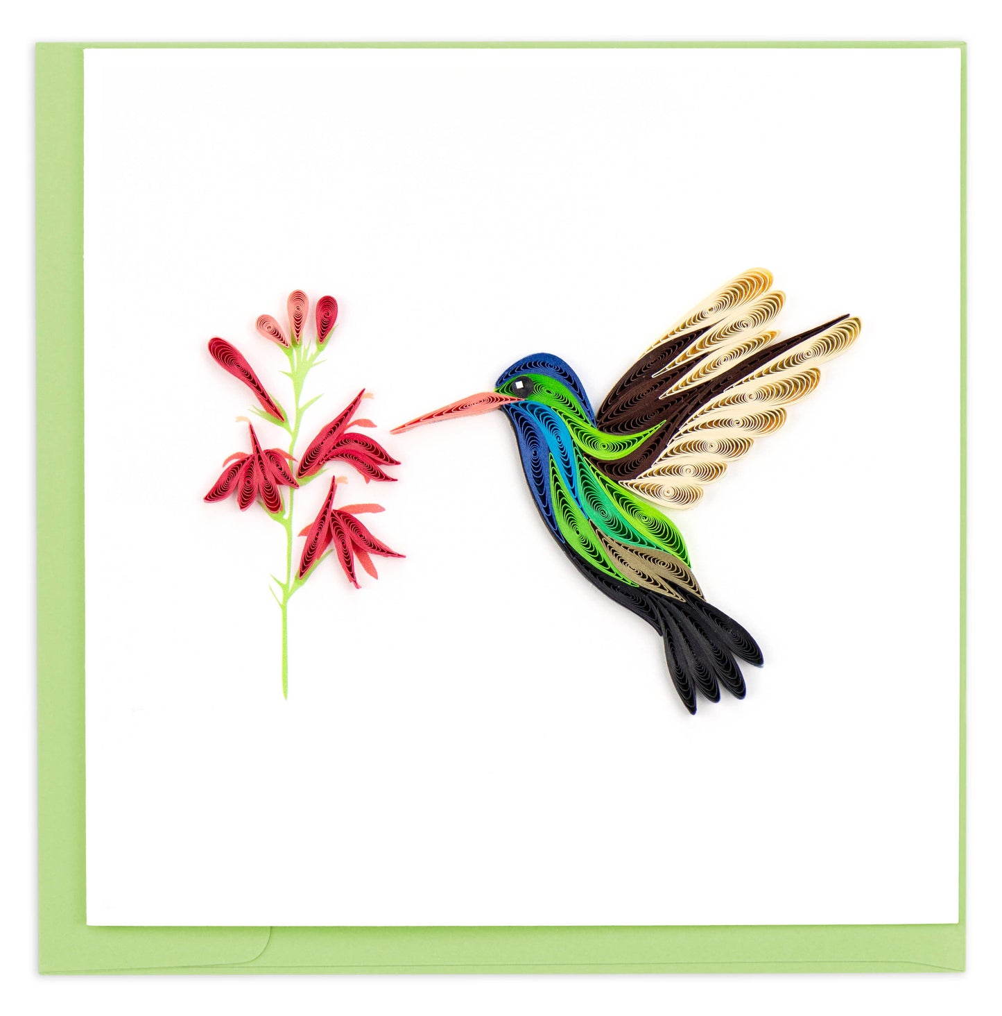 Quilled Greeting Card, "Broad-billed Hummingbird"