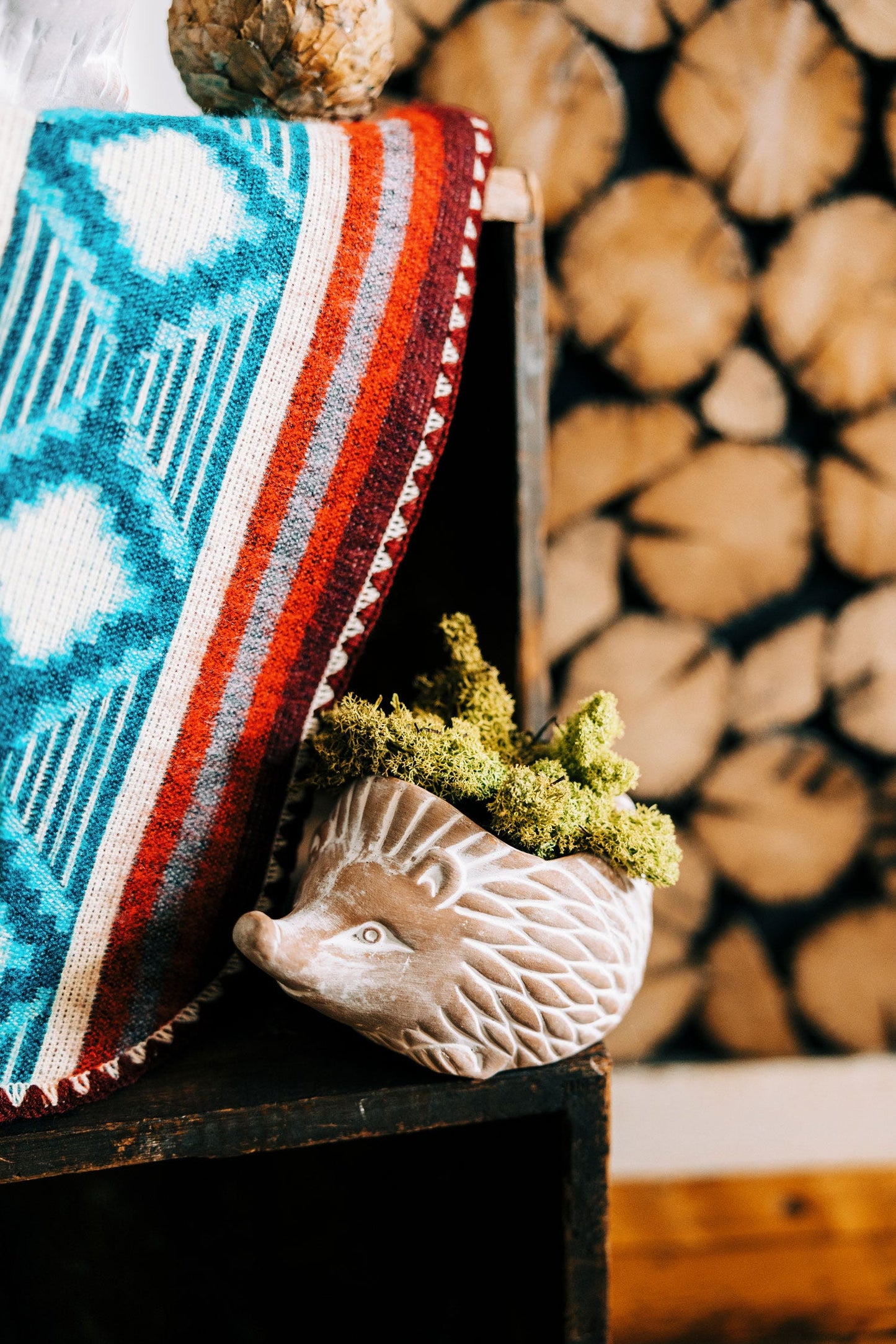 Planter hedgehog t-cotta 7Lx4.5H whitewash