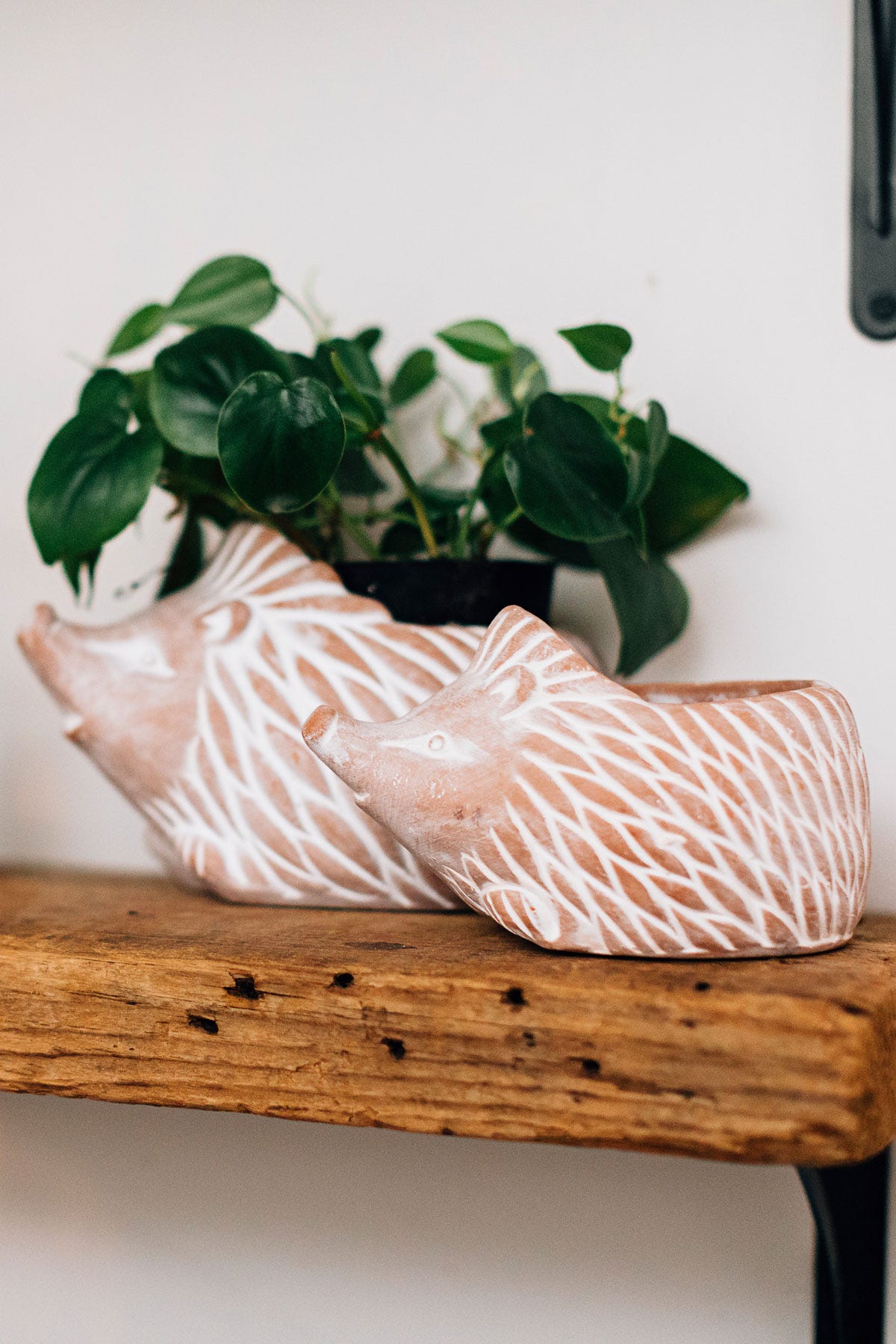 Planter hedgehog t-cotta 7Lx4.5H whitewash