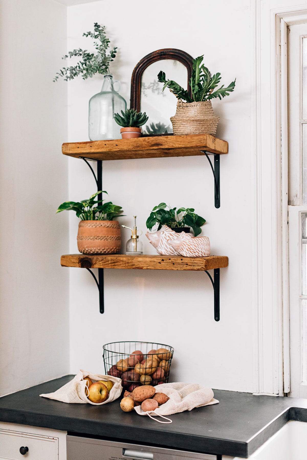 Planter hedgehog t-cotta 7Lx4.5H whitewash