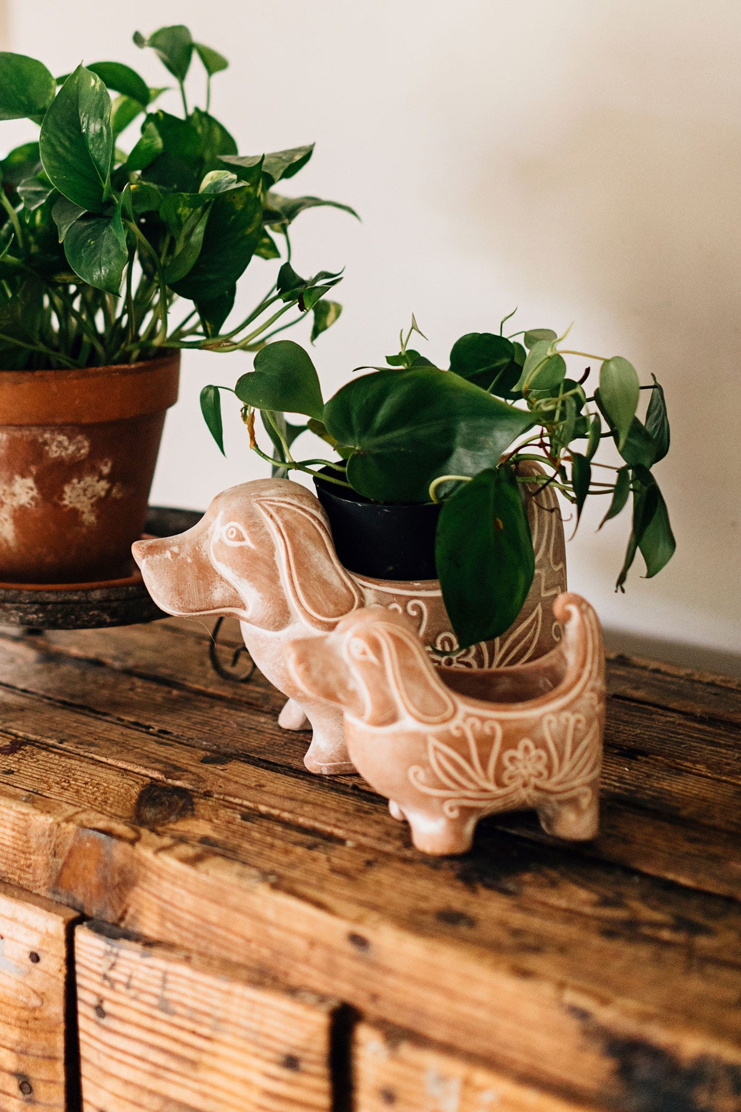 Whitewashed Terracotta Planter, Dog, 6"