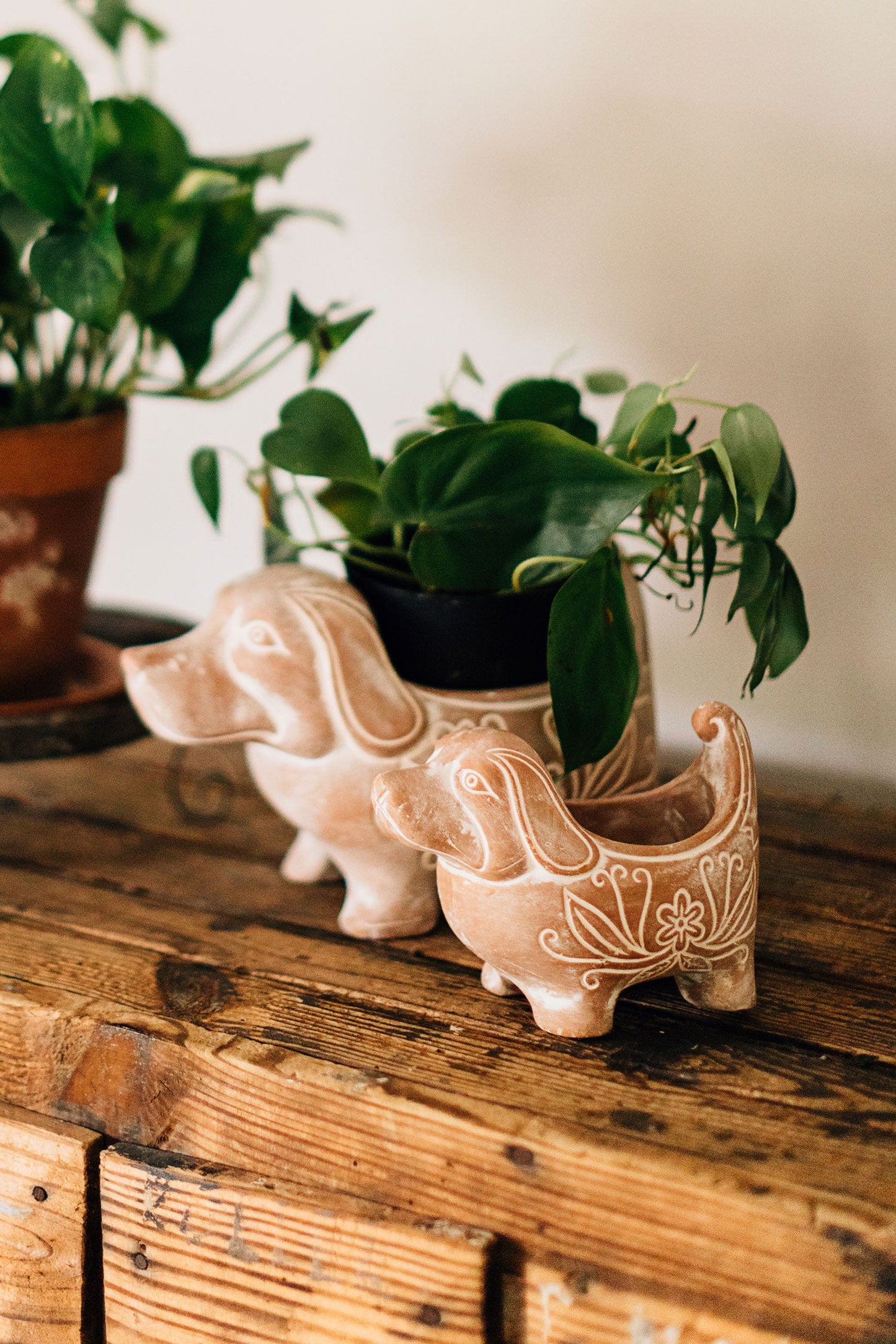 Terracotta Dog Planter, Small