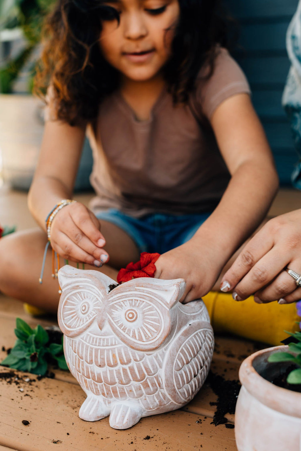 Planter owl terra cotta 7Lx5Wx6H white wash