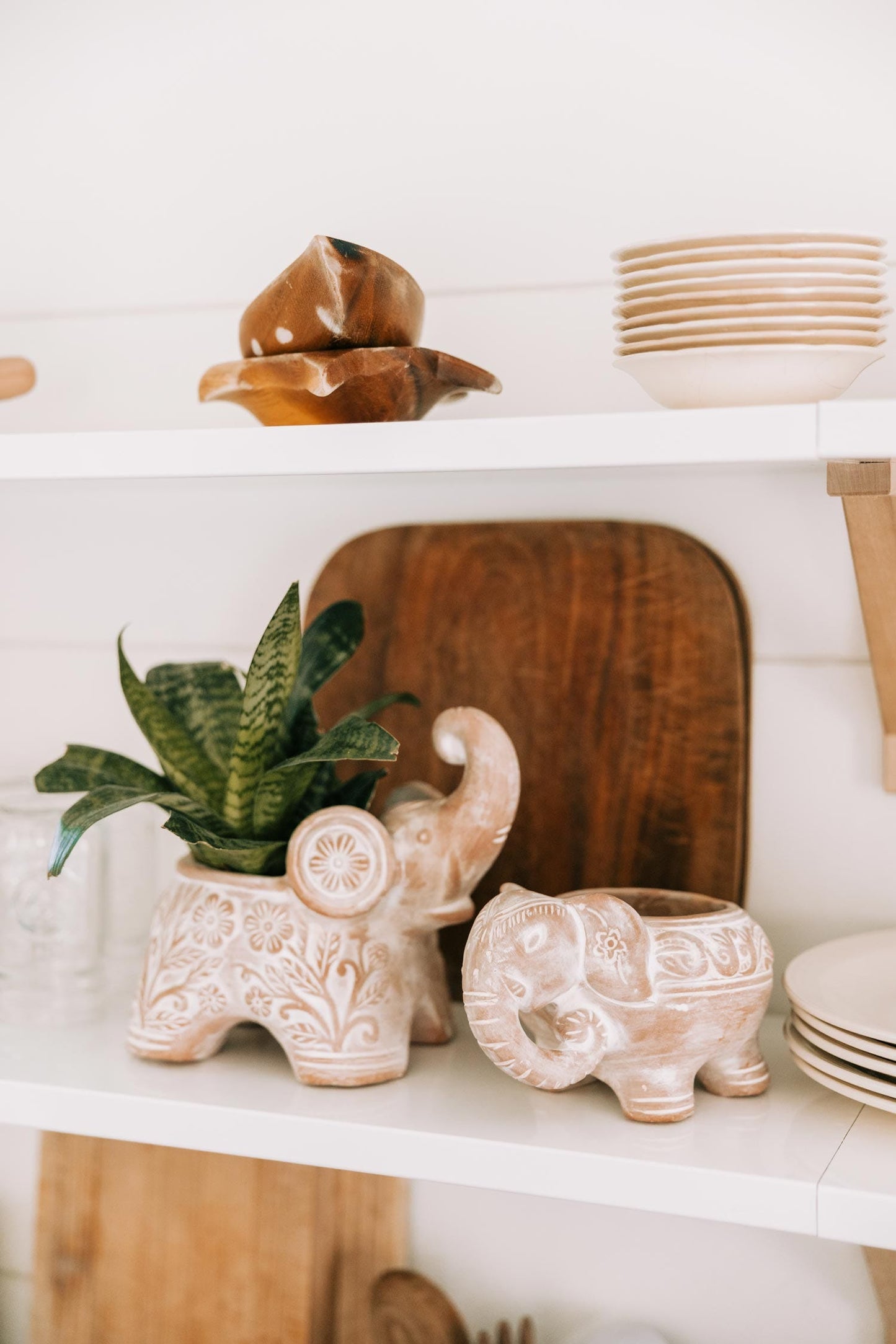 Planter elephant trunk up t-cotta 9Lx8H white wash