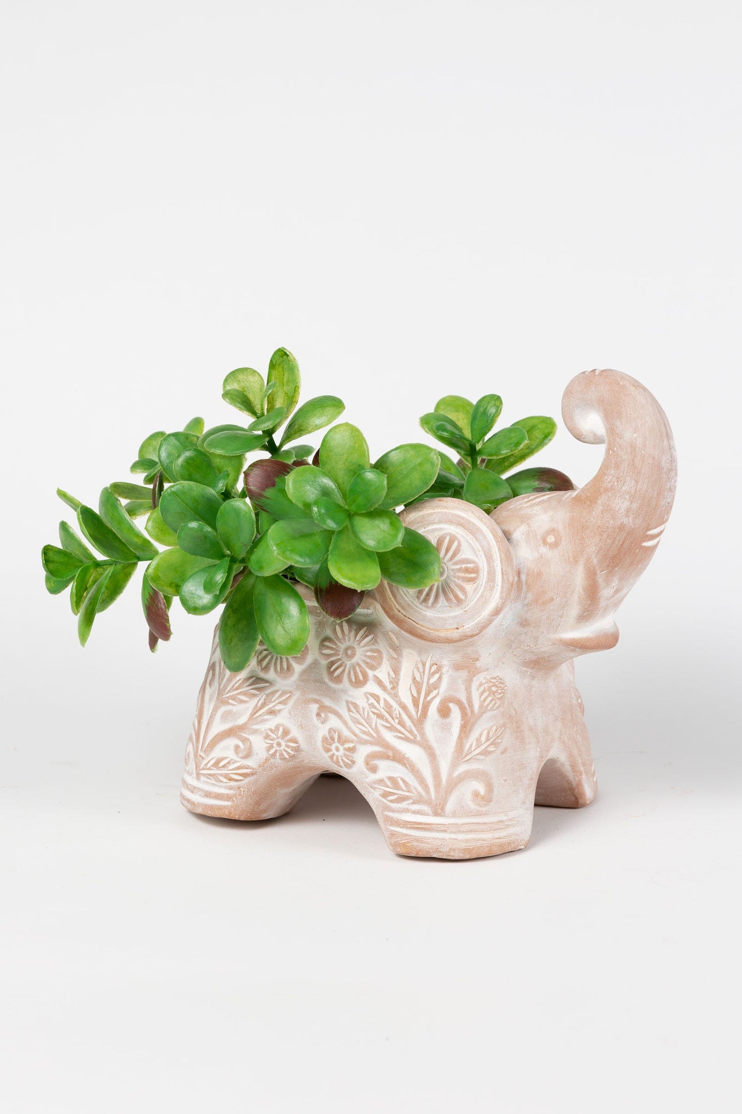 Planter elephant trunk up t-cotta 9Lx8H white wash