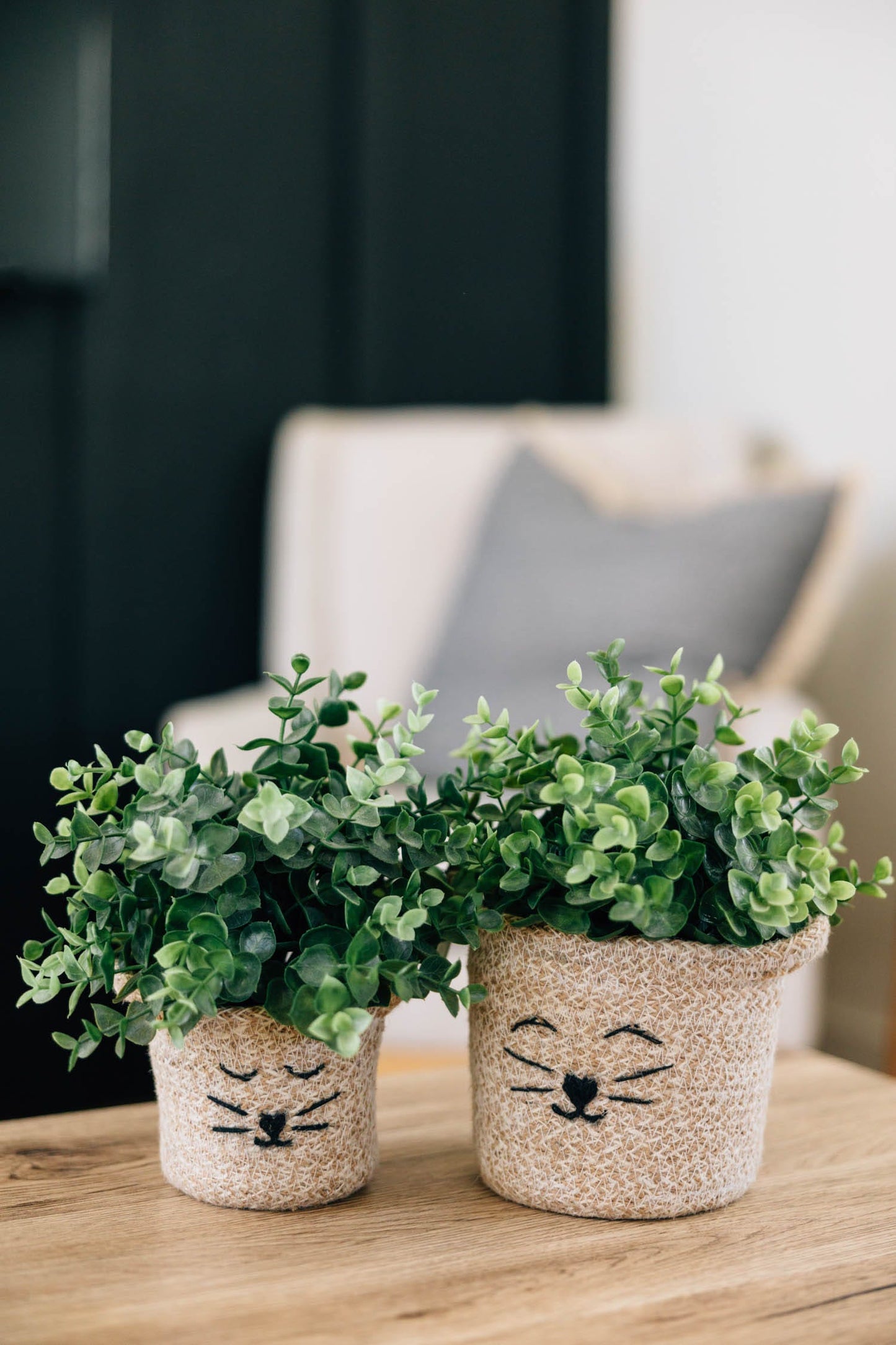 Cat Face Jute Basket - 4.5"H