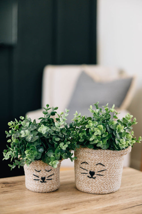 Cat Face Jute Basket - 4.5"H