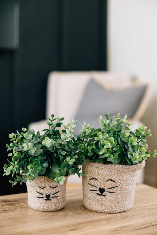 Cat Face Jute Basket - 5.75"H