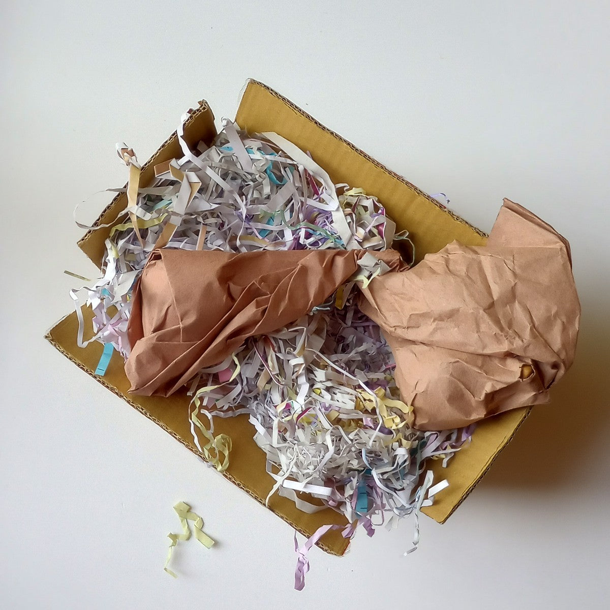 Plant self waterer whale M/2 t-cotta 6H nat