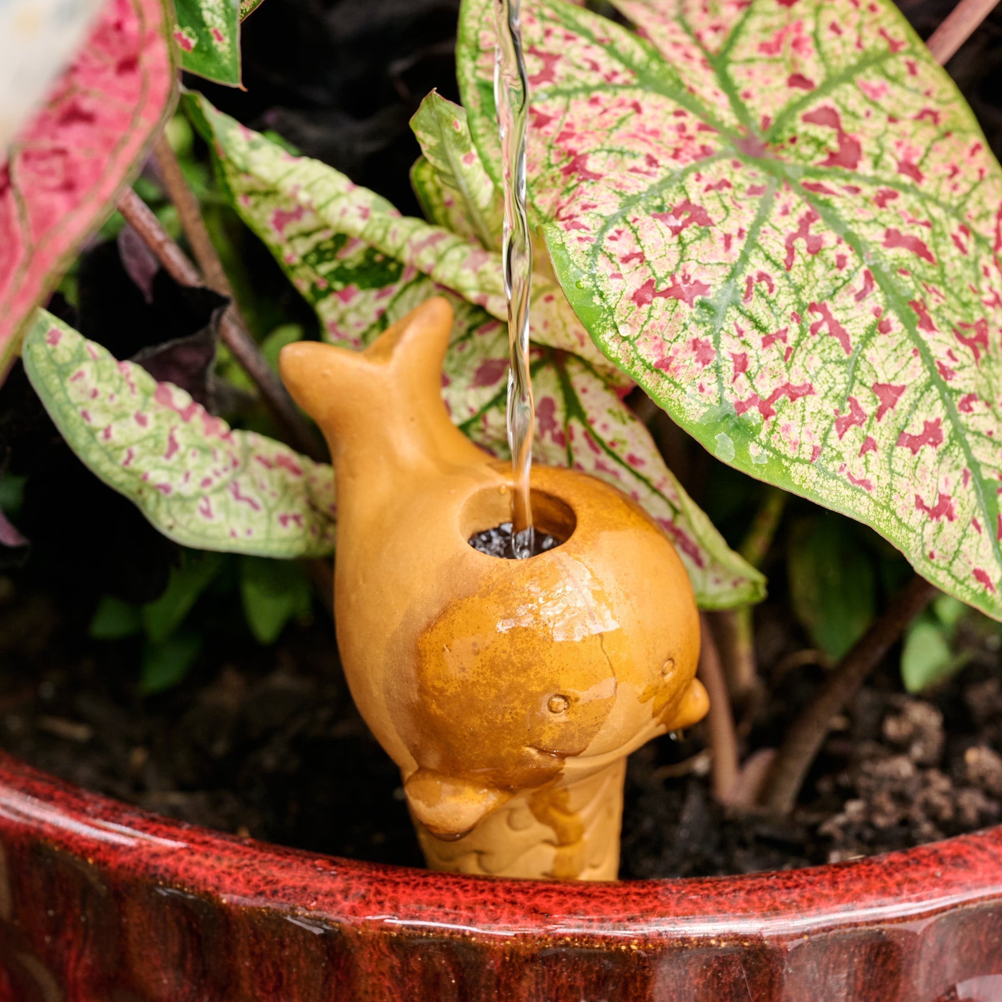 Plant self waterer whale M/2 t-cotta 6H nat