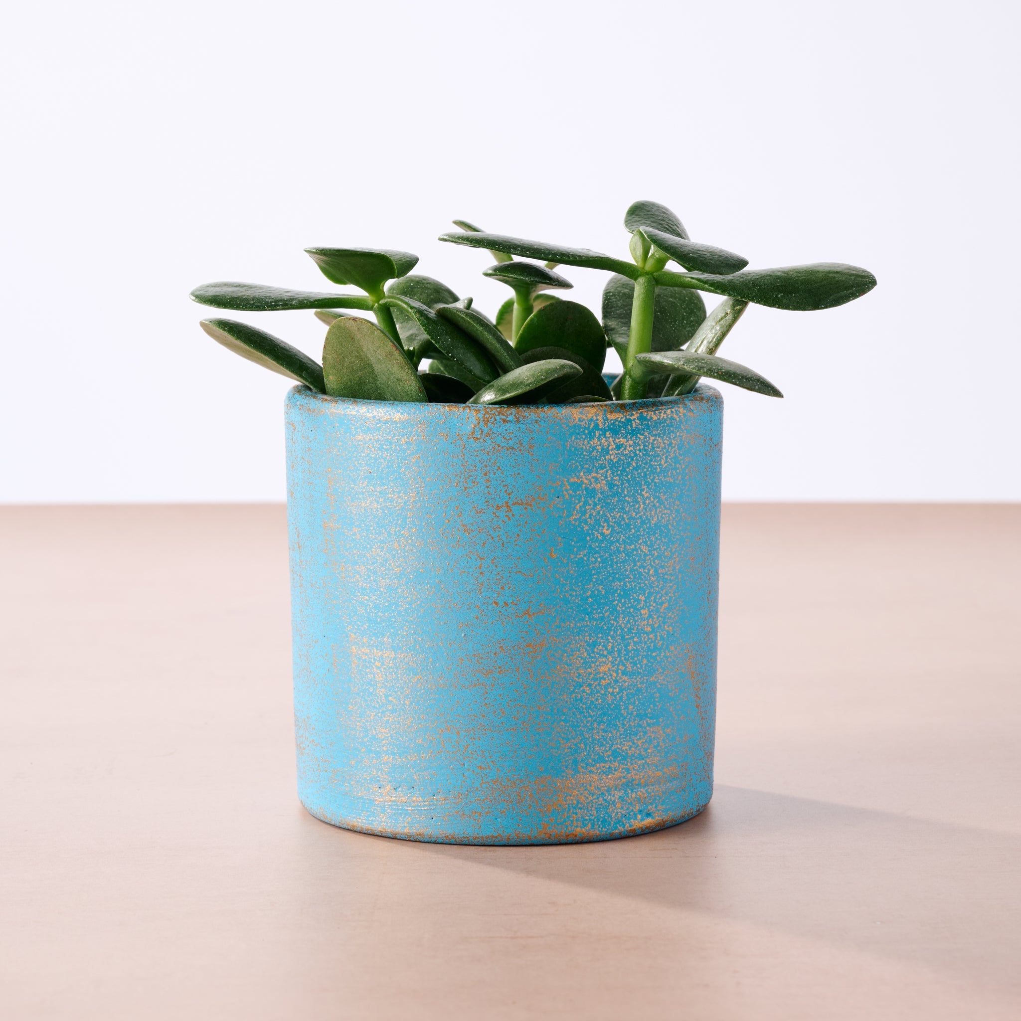 Chota Terracotta Mini Planter - Light Blue
